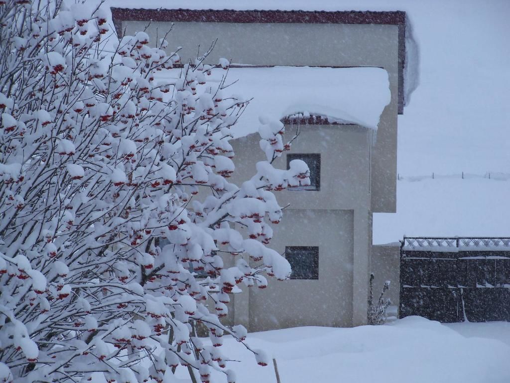Дома для отпуска ---Allegria House--- Степанцминда