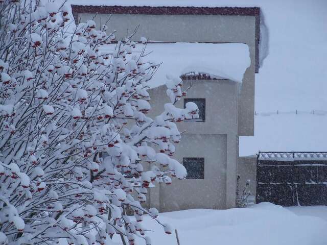 Дома для отпуска ---Allegria House--- Степанцминда-50